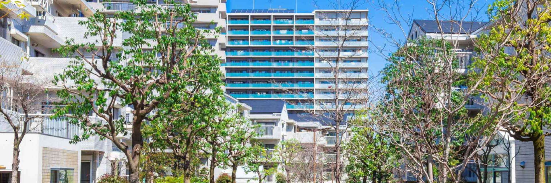 安徽阜阳山河甲第项目