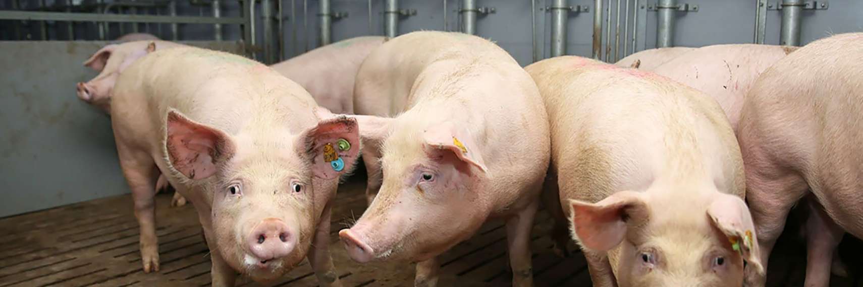 牧原实业集团有限公司动环监控系统