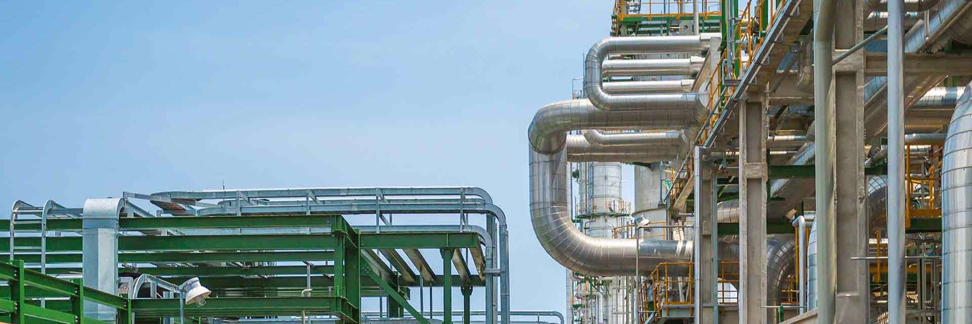 中石化巴陵石油化工有限公司己内酰胺产业链搬迁与升级转型发展项目